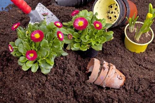 A close-up view of a garden bed in a landscaped outdoor space scheduled for gardening and landscaping services in Newham, featuring two vibrant flowering plants with bright pink and yellow blooms, surrounded by freshly tilled dark brown soil. Behind the plants, there is a small, partially buried terracotta flowerpot lying on its side, with some soil visible inside. To the right, a yellow plastic pot holds young green shoots emerging from the soil, while further back, a black and yellow garden trowel and a yellow watering can are positioned on the soil, indicating recent gardening activity. The scene is outdoors, with natural daylight illuminating the area, highlighting the rich textures of the soil and the vivid colors of the flowers and gardening tools, reflective of the professional garden maintenance and lawn care services offered by Landscapers Newham in the postcode area.