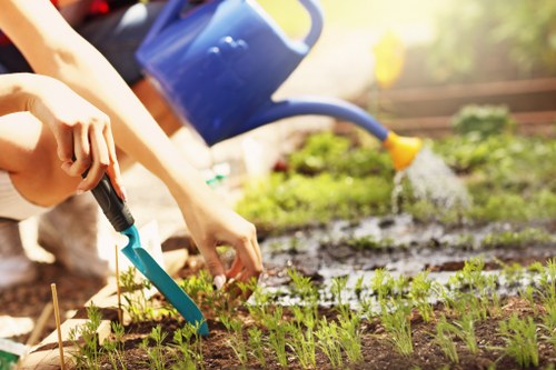 Workers reviewing ethical labour compliance in a landscaping setting