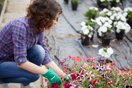 A person working in a garden with a variety of flowering plants, including vibrant pink and purple flowers in the foreground, and white flowering plants in black pots arranged along the edge of a landscaped outdoor space. The garden features a combination of soil and paved pathways, with the individual wearing green gardening gloves, a blue plaid shirt, and denim jeans, carefully tending to the plants. The area appears well-maintained with organized plant beds and a natural outdoor environment, likely part of a residential or community garden in Newham, London, reflecting professional gardening and landscaping services offered by Landscapers Newham. Bright, natural daylight illuminates the scene, highlighting the fresh foliage and colorful blooms, creating a welcoming and healthy outdoor space geared towards garden care and maintenance.