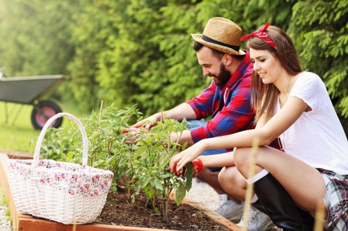 Professional lawn mowing service in Newham