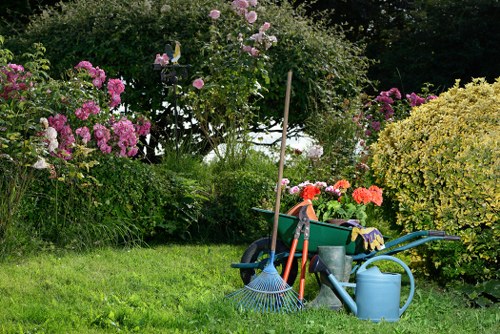 Proper lawn mowing techniques in Newham