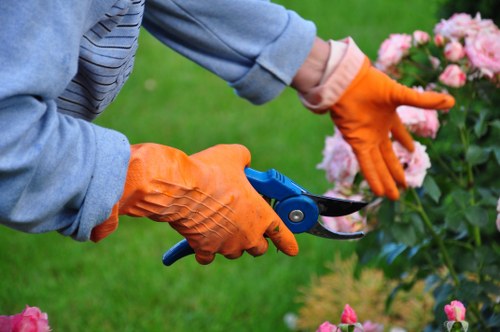 A close-up view of a gardener wearing bright orange protective gloves, pruning pink flowering shrub with small, densely clustered blossoms using a pair of blue-handled pruning shears. The gardener's hands are positioned over a well-maintained garden bed with a border of dark soil and various green foliage. In the background, there is a lush, neatly cut lawn with vibrant grass, typical of a landscaped outdoor space possibly located in Newham, London. The scene is captured on a bright day with natural sunlight illuminating the plant and tools, reflecting professional gardening activities that focus on maintaining healthy, attractive garden plants. This setting showcases the importance of proper shrub trimming within a carefully landscaped garden area, indicative of services offered by local landscapers like Landscapers Newham, aimed at enhancing outdoor environments in the area.