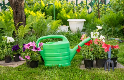 A garden scene in a backyard features a neatly maintained lawn with lush, green grass occupying the foreground. Along the edge of the lawn, there are small potted flowering plants with vibrant purple and pink blossoms, arranged in a row. Behind these plants, a variety of native garden shrubs and ferns with bright green, feathery fronds provide a natural backdrop. A large tree with textured bark is partially visible on the left side, offering shade and structure to the space. In the middle of the garden, a bright green plastic watering can is placed on the grass, accompanied by a small garden fork with a black handle and metal prongs, both positioned near the flower pots. A white decorative garden urn or planter sits slightly further back among the greenery, adding a decorative touch. The garden appears well-kept, with healthy plants and a tidy arrangement, suitable for gardening services in Newham covering lawn care, planting, and outdoor maintenance. Natural daylight illuminates the scene with soft shadows, suggesting a calm, partly cloudy day, contributing to the vibrant and inviting outdoor environment.