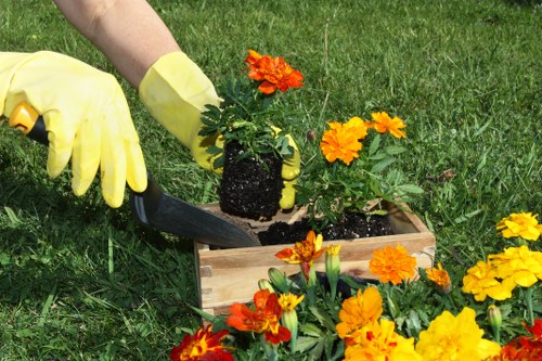 A close-up view of a gardener's hands wearing yellow gardening gloves, planting bright orange and yellow marigold flowers into a wooden raised flower bed filled with dark, rich soil, situated on a lush green lawn. The garden area appears well-maintained with a variety of flowering plants arranged around the bed. The scene is outdoors in natural daylight, suggesting a mild weather condition suitable for gardening activities. The background shows more green grass and possibly part of a landscaped garden. The focus is on the planting process, emphasizing the care and attention involved in gardening and landscaping services offered by Landscapers Newham in the local area surrounding Newham, London. The image highlights elements of gardening, such as soil preparation, flower planting, and the organized garden layout, serving as a visual representation of professional outdoor maintenance and gardening services.