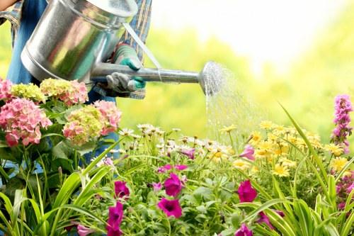 A gardener wearing gloves and spraying water onto a vibrant garden bed with a variety of flowering plants, including pink, purple, and yellow blooms, situated in an outdoor space with lush green foliage. The scene captures the healthy grass and flower borders, with sunlight filtering through the background, suggesting a warm and bright day in a residential garden in Newham, East London. The image reflects outdoor landscaping and garden maintenance work typical of local gardening services, showcasing the care of plants, lawns, and flower beds that Landscapers Newham provides in the area.