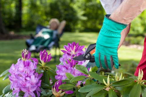 A gardener wearing teal gardening gloves is trimming a vibrant purple rhododendron shrub in a well-maintained backyard garden. The garden features a lush, dense lawn with green grass, bordered by flower beds and hedges, and a background of tall trees and leafy foliage creating a shaded outdoor environment. In the distance, a child is seen relaxing in a garden chair, with dappled sunlight filtering through the trees. The scene depicts tidy landscaping with well-kept plants and a focus on outdoor maintenance, reflecting professional gardening services offered by Landscapers Newham in the Newham area, near postcode E. The overall setting is a vibrant, mature garden space suitable for outdoor leisure and ongoing garden care. Weather appears clear and mild, with natural light highlighting the vivid colors of the flowers and greenery.