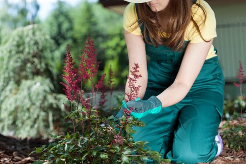 A woman wearing a yellow top and teal gardening apron is kneeling in a landscaped garden bed, tending to pink flowering plants with green foliage. The garden features a neatly maintained grassy lawn area in the foreground, bordered by dark, rich soil and mulch around the plants. In the background, there are lush trees and shrubs, conveying a healthy and vibrant outdoor space. The scene suggests a well-kept garden space suitable for lawn care and plant maintenance, with natural daylight highlighting the variety of textures and colors in the garden. This setting exemplifies professional gardening practices relevant to local outdoor spaces in Newham, aligning with services such as plant care, landscaping, and turf management provided by Landscapers Newham.