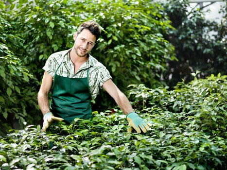 Eco-friendly garden clearance practices