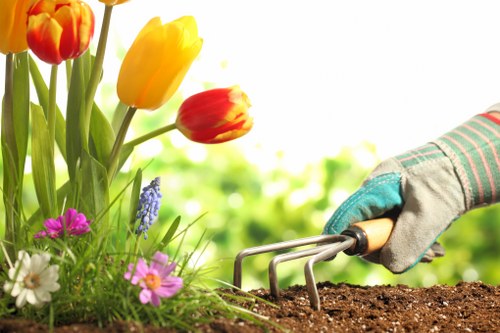 The image displays a gardener wearing a gardening glove holding a small handheld cultivator tool while tending to an outdoor garden bed. The garden includes a variety of colourful flowers such as tulips, with vibrant yellow and red petals, along with purple and white blossoms, set against lush green foliage. The soil appears freshly turned and rich, indicating recent planting or soil aeration. In the background, there are neatly maintained lawn areas and a backdrop of dense bushes or hedges, suggesting a well-kept landscaped yard. The environment is brightly lit, with natural sunlight creating a warm and inviting outdoor scene typical of a well-maintained domestic garden in Newham, London. The overall composition emphasizes careful gardening practices that enhance the appearance and health of outdoor plantings, underlining the importance of professional gardening and landscaping services provided by companies such as Landscapers Newham.