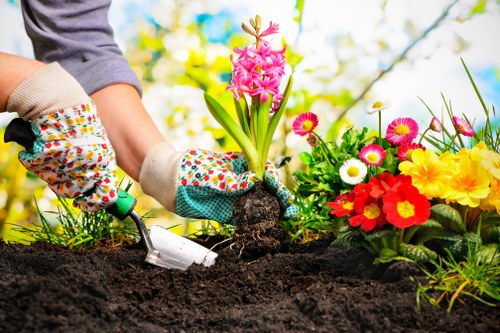 A close-up of a gardener's hands wearing colorful, patterned gardening gloves, planting a pink hyacinth flower into dark, rich soil in a well-maintained garden bed. Surrounding the planting area are vibrant flowering plants, including yellow, red, white, and pink blooms, arranged along the edge of the garden bed. The garden setting is outdoors, with a blurred background of leafy trees and a bright, sunny sky, suggesting a warm, pleasant day. The scene highlights the careful planting process, with the gardener using a small hand trowel to loosen and position the soil around the emerging hyacinth. This garden features a mix of ornamental flowering plants and lush greenery, indicative of professional gardening or landscaping work typical in residential outdoor spaces in Newham or similar urban areas, supporting local lawn and garden care services by Landscapers Newham.