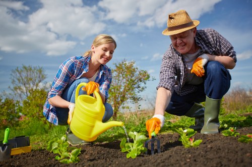 Seasonal lawn maintenance in Newham