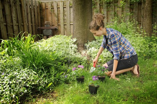 In a lush backyard garden located in Newham, a young woman with brown hair tied back, wearing a blue plaid shirt and black jeans, is kneeling on the grass while planting small flowering plants in black pots. The garden features a well-maintained lawn, surrounding dense green foliage, and a tall wooden fence that provides privacy. Behind her, large trees with thick trunks and ample leafy canopies cast gentle shadows across the area. To the left, a cluster of ornamental grasses and flowering shrubs add natural texture and colour variations, including purple and white blossoms. The soil appears moist, and the overall scene reflects a peaceful outdoor space suitable for gardening and landscaping activities, supported by local garden maintenance and lawn care services offered by Landscapers Newham. The weather is clear with soft natural lighting, emphasizing the vibrant green tones of the plants and the natural harmony of the garden environment.