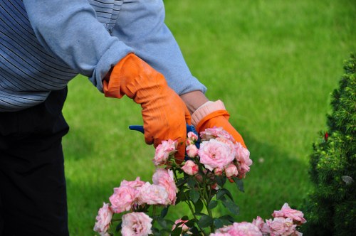In a well-maintained garden on the outskirts of London, a gardener wearing a blue long-sleeve shirt and bright orange gloves is carefully tending to a cluster of pink roses situated in a flower bed with dark, moist soil. The roses are in full bloom, showcasing delicate petals of varying shades of pink, set against rich green foliage. Behind the gardener, a lush, evenly cut lawn stretches out, bordered by a neatly trimmed hedge and various other shrubs, which add structure and privacy to the outdoor space. To the right, a small evergreen tree and other seasonal plants provide contrasting textures and colours, contributing to the garden's diverse landscape. The background shows part of a paved pathway made of stone slabs, leading through the garden, and the scene is illuminated by natural daylight, with gentle shadows indicating a partly sunny day. This image exemplifies professional garden maintenance and planting care, highlighting the work of a garden landscaping specialist such as Landscapers Newham, serving the Newham area in London, as captured on their 'Pricing and Quotes' webpage.