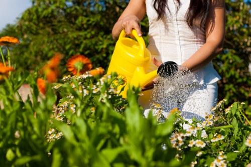A woman dressed in a white sleeveless top is tending to a well-maintained garden in Newham, with lush green shrubs, flowering plants with white and orange blossoms, and a neatly edged lawn. She is holding a yellow watering can, pouring water onto the plants, with sunlight casting a natural glow over the outdoor space. The garden features a mix of flower beds and grass, bordered by a low hedge or border in the background, and the overall scene reflects a thriving, tidy landscaped yard suitable for professional gardening and outdoor maintenance services provided by Landscapers Newham. The environment appears bright and warm, suggesting a sunny day, and the scene emphasizes healthily growing plants and well-kept garden borders in an urban residential area near the postcode for Newham, London.