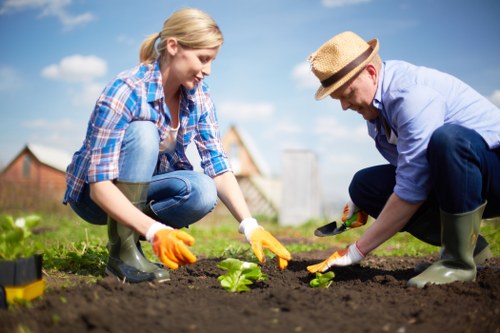 A woman and a man are engaged in gardening activity in a backyard garden, kneeling close to the freshly turned soil and planting a small leafy green plant. The woman has blonde hair tied back and is wearing a blue plaid shirt, blue jeans, and orange gardening gloves. The man is wearing a light blue shirt, dark trousers, a straw hat, and protective green rubber boots. The garden features a well-maintained grassy lawn in the foreground, with the soil prepared for planting, bordered by a low edge. In the background, there are a few distant rooftops and a partly cloudy blue sky, suggesting a clear and bright day. The scene is set within a residential area, possibly in Newham, where gardening services by Landscapers Newham might be relevant, showcasing active outdoor maintenance and planting work in a typical suburban garden environment.