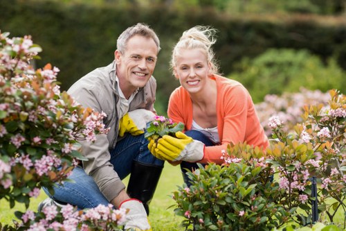Eco-friendly landscape with native plants and efficient irrigation system
