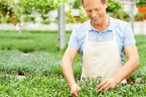 Professional landscaper working on a garden project